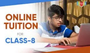 Choose the best online tuition for class 8