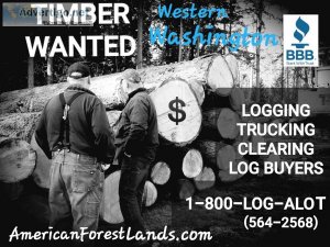 TIMBER WANTED American Forest Lands WA Logging LOG BUYER Tree Cl
