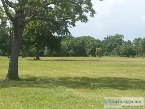 16.5 acres Cedar Lane Tx