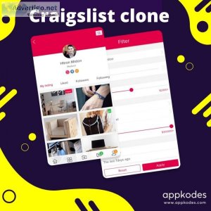 Prosper your online classifieds business with dazzling craigslis