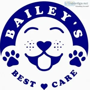 Bailey s Best Care Pet Transport