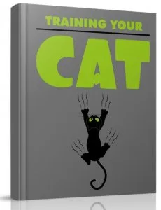 Training Your Cat - No.1 Cat Training And Caring E-Book