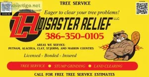 Tree Service - Experienced Licensed Bonded and Insured