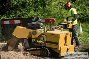 Tree Soldiers - Stump Grinding Buffalo NY
