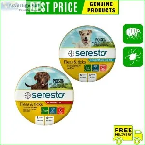 SERESTO- A Dog Collar for Flea and Tick protection