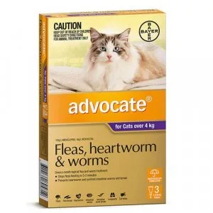 Buy Advocate For Cats Over 4kg Purple  DiscountPetCare