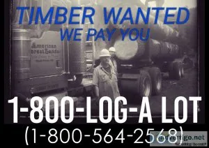 PORT ORCHARD LOGGING COMPANY  TIMBER HARVESTING LOG TRUCKING TIM