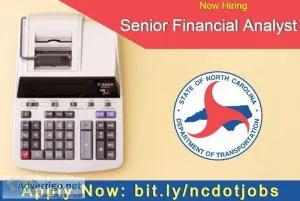 Financial Analyst III