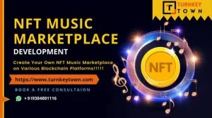 Create an music nft platform