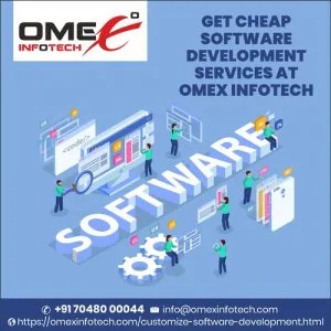 Cheap software development services - omexinfotech