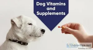 Why Dog Vitamins and Supplements Are Required