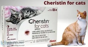 Is Cheristin For Cats A Good Flea Treatment and How It works