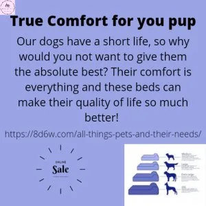 Too cute for some people...