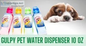 Best Dog Water Dispensers and its Requirement