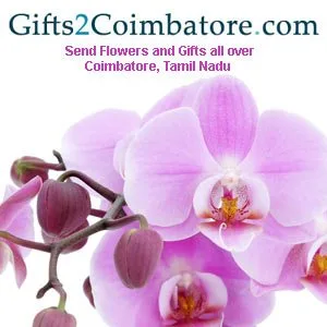 Same day delivery of gifts to coimbatore for any occasion- cheap