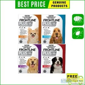 Buy Frontline Plus for Dogs to Control and Treat Flea Ticks