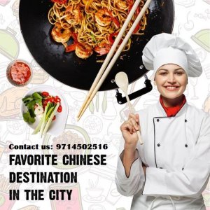 Best veg chinese restaurant in vadodara - mainland chaina