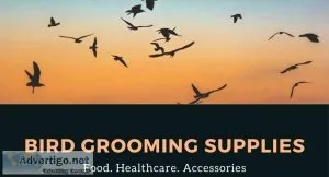 Why Is Bird Grooming Important