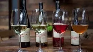 Fine ladies and fine wine, perfect combination