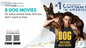 8 Dog Movies For Every Animal Lover
