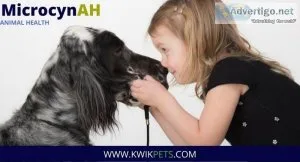 Is MicrocynAH eye and ear wash safe for dogs