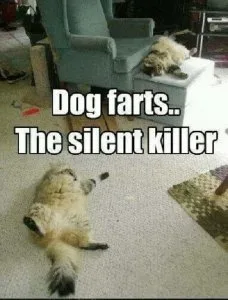 Pet lovers