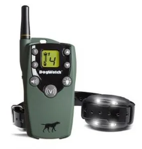 Buy BigLeash V10 Vibration Trainer in Arkansas