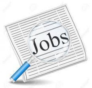 Golden opportunity for everyone part time Online Home Based jobs