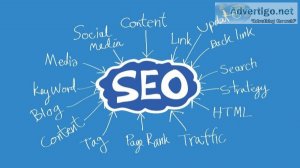 Seo expert in india