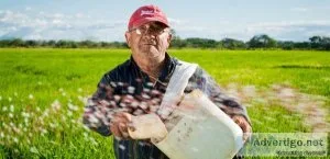 Some Bookkeeping Systems you Need as a Grain Farmer