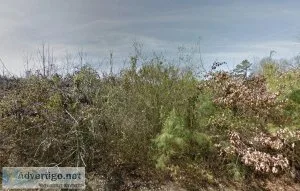 0.11 Acres Lot For Sale in Pine Bluff