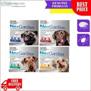 NexGard-The Flea and Tick Protection for Dogs