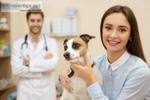 Pet Veterinary care at home - pawpurrfect