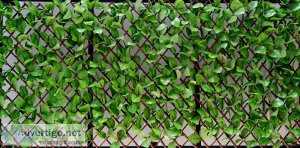 Buy artificial hedges at wholesale price online