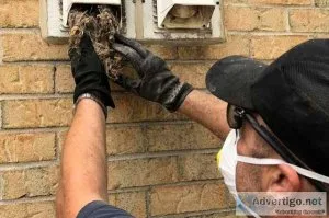 You know that stale musty smell in your home