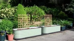 Why are raised bed planter boxes so popular among the new-age ga