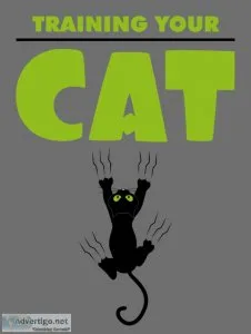 Training Your Cat - No.1 Cat Training And Caring E-Book