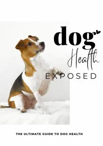 The ULTIMATE Guide to DOG Health