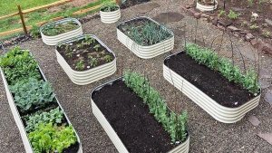How to shape your raised garden ideas in reality