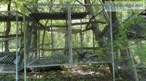 Large macaw cages