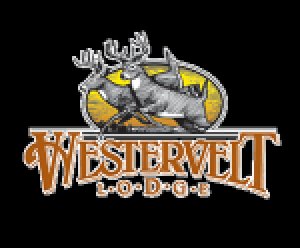 Quail Hunting Alabama  Finest Quail Hunting and Lodging  Westerv
