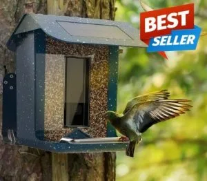 Online Pet Supply  Talis-us.com