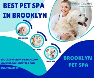 Do you want to find the best dog spa in Brooklyn