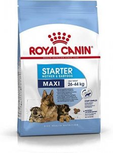 pet food and accessories online