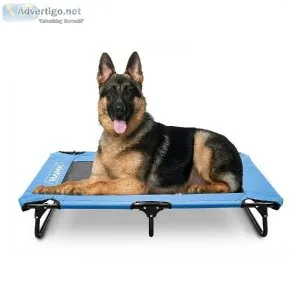 HANK Elevated Dog Bed  Washable Foldable Heavy-Duty Dog Sleeping