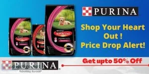 Online Dog and Cat food and Accessories