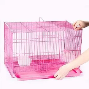 Buy guinea pig cages online in india at best price