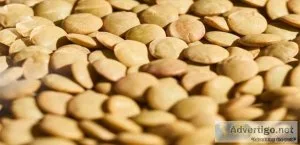 Shouldn&rsquot more people be adopting pulses into their meals