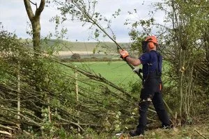 Full Range of Garden Maintenance Service In Aberdeen  SG Tree Se