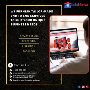Bandhu e-services - best e-services company in bhubaneswar